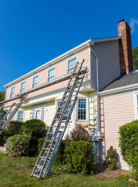 Best Shed Removal  in Pine City, MN